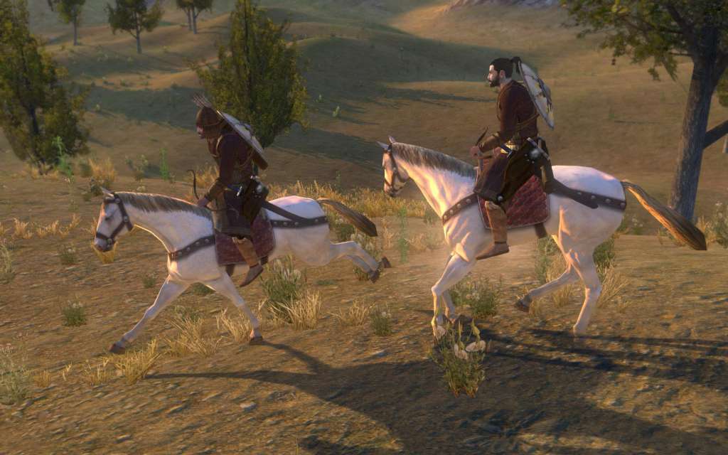 Mount & Blade: Warband PC Windows 10/11 Account