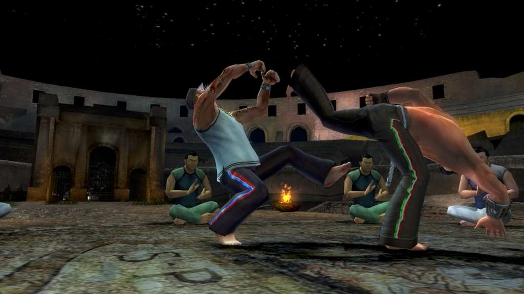 Martial Arts: Capoeira Steam CD Key