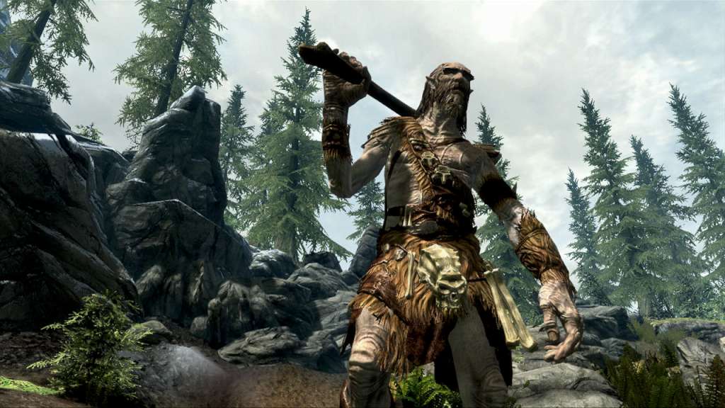The Elder Scrolls V: Skyrim PL Language Only PC Steam CD Key