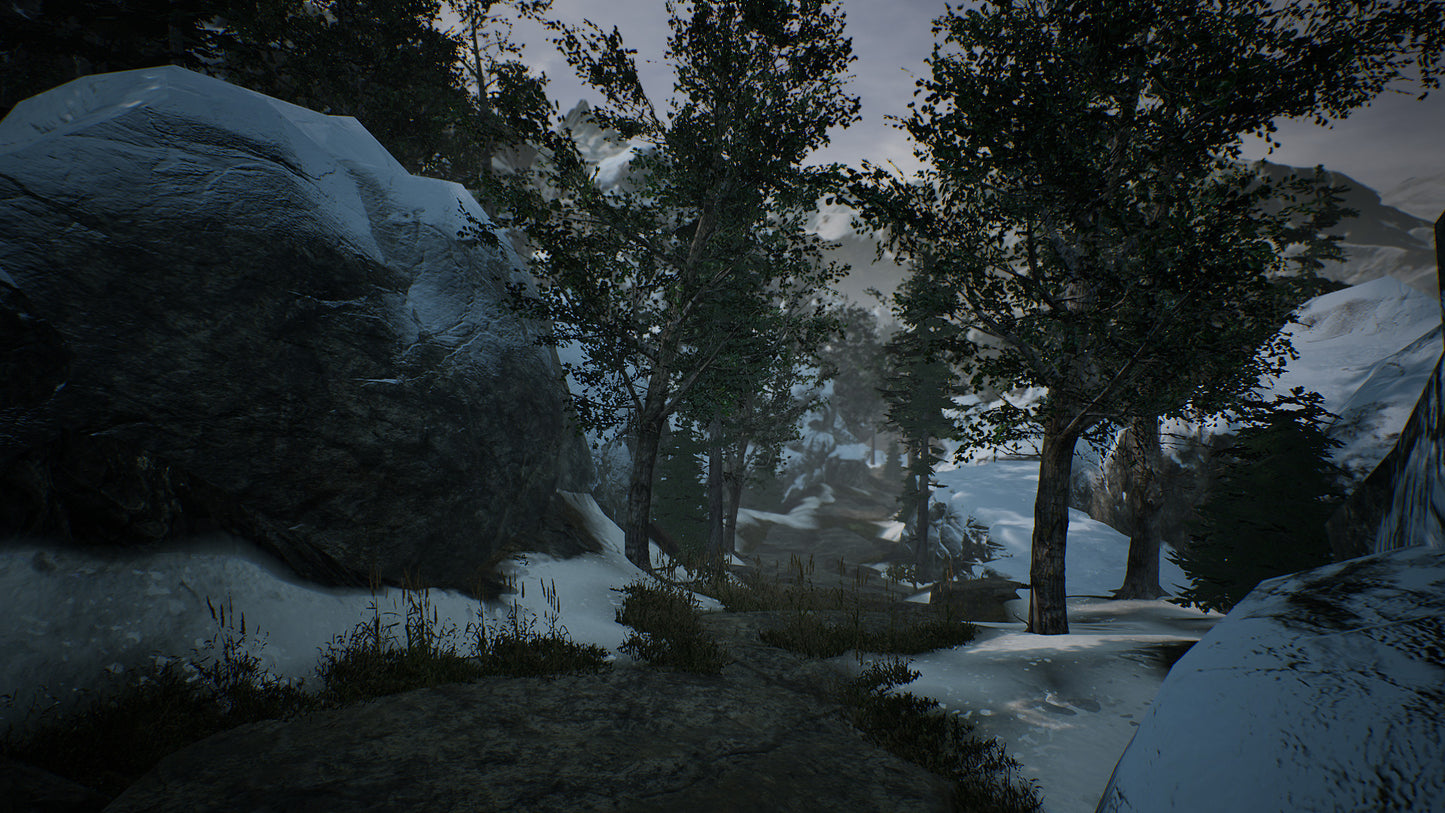 The Frost Rebirth Steam CD Key