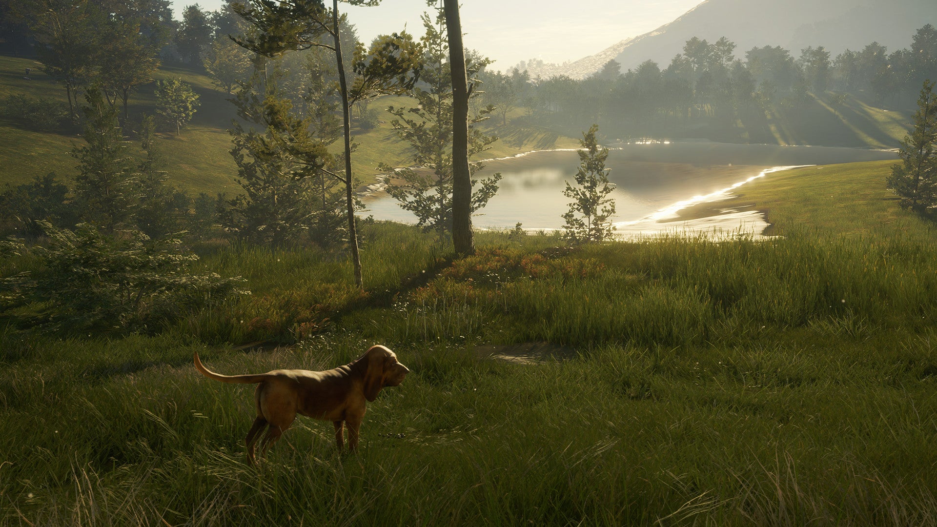 theHunter: Call of the Wild - Bloodhound DLC EU XBOX One / Xbox Series X|S CD Key