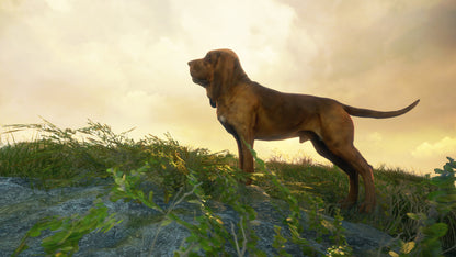 theHunter: Call of the Wild - Bloodhound DLC EU XBOX One / Xbox Series X|S CD Key