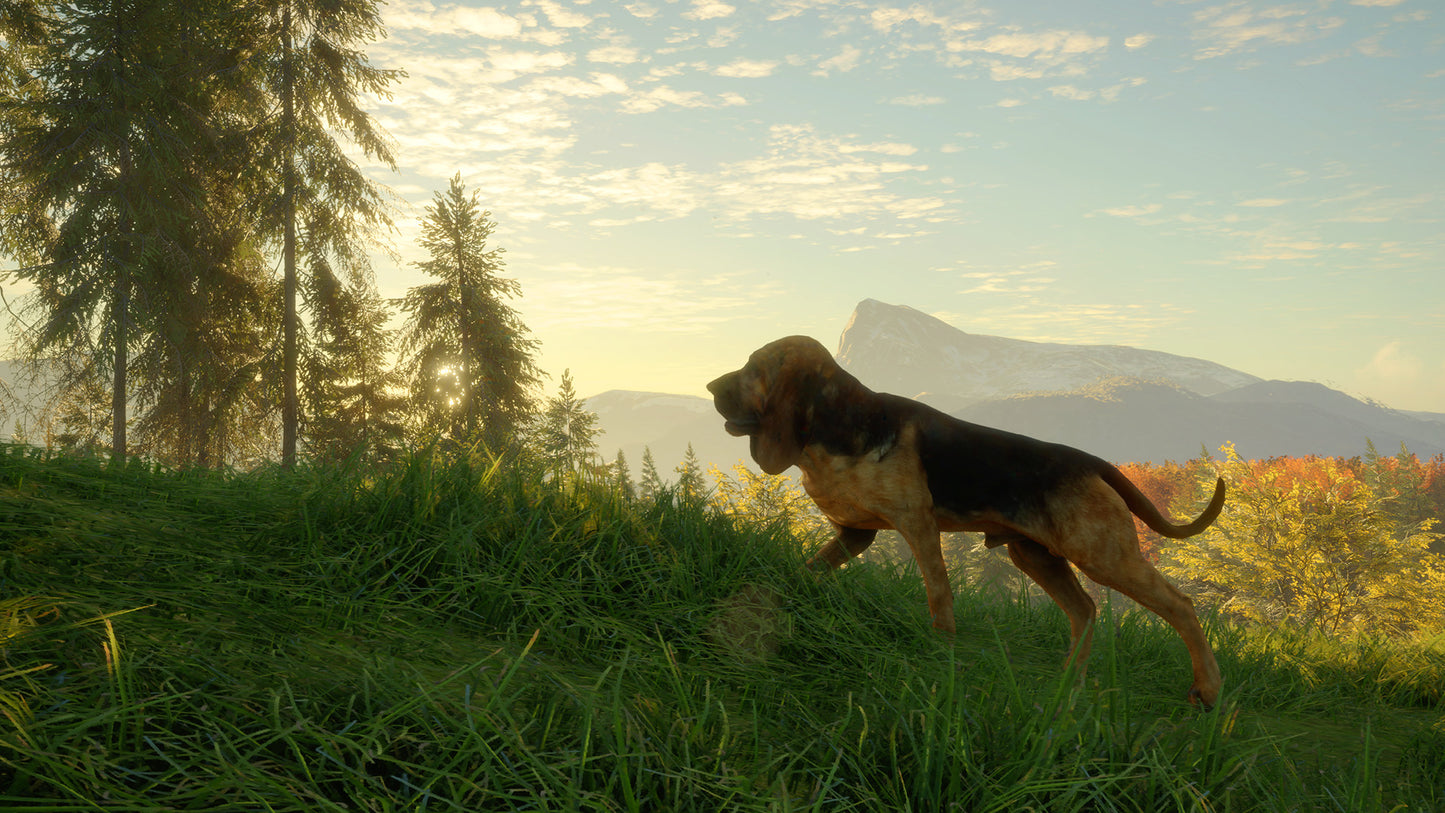 theHunter: Call of the Wild - Bloodhound DLC EU XBOX One / Xbox Series X|S CD Key