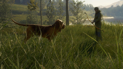 theHunter: Call of the Wild - Bloodhound DLC EU XBOX One / Xbox Series X|S CD Key