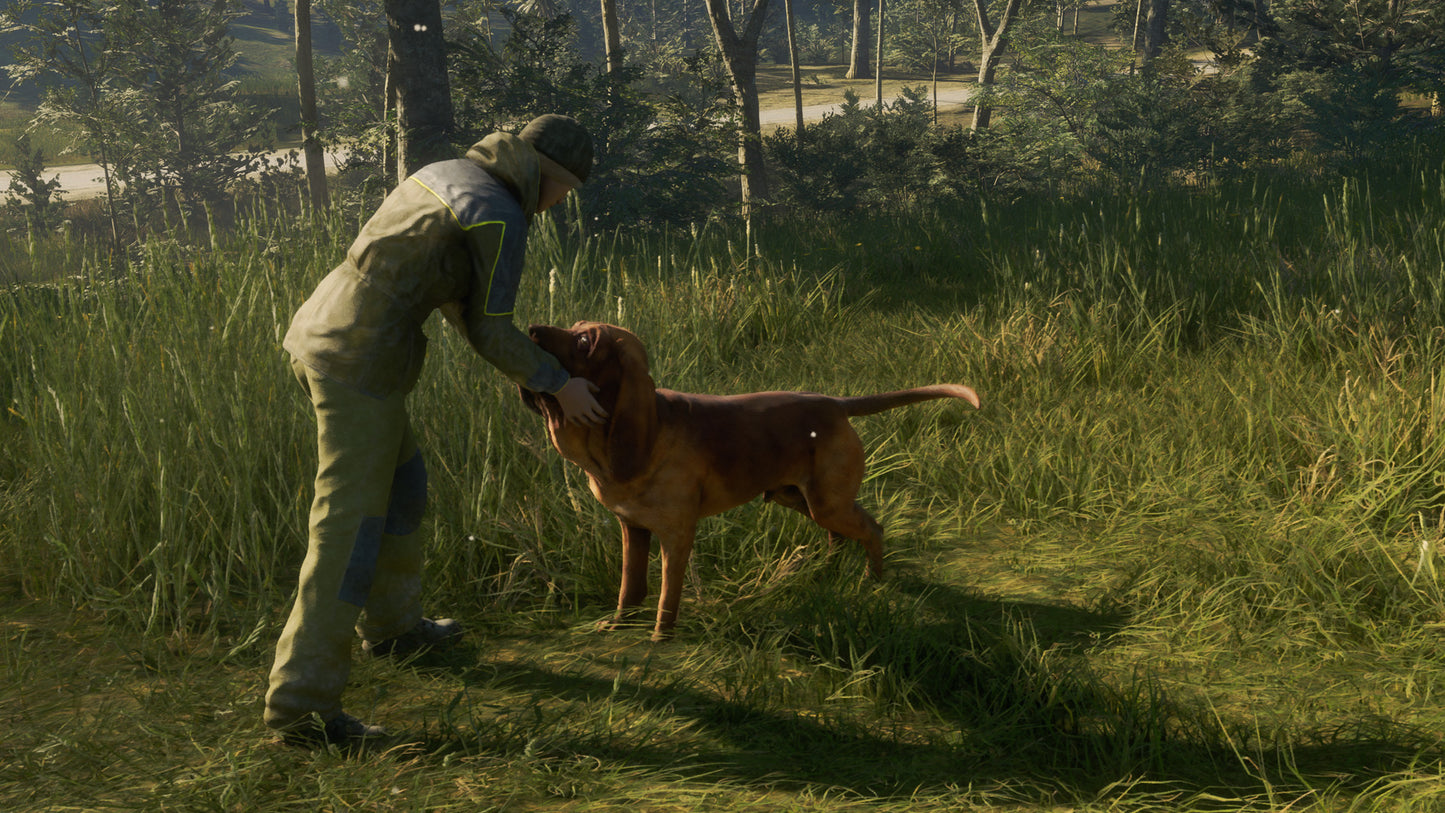 theHunter: Call of the Wild - Bloodhound DLC EU XBOX One / Xbox Series X|S CD Key