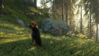 theHunter: Call of the Wild - Bloodhound DLC EU XBOX One / Xbox Series X|S CD Key