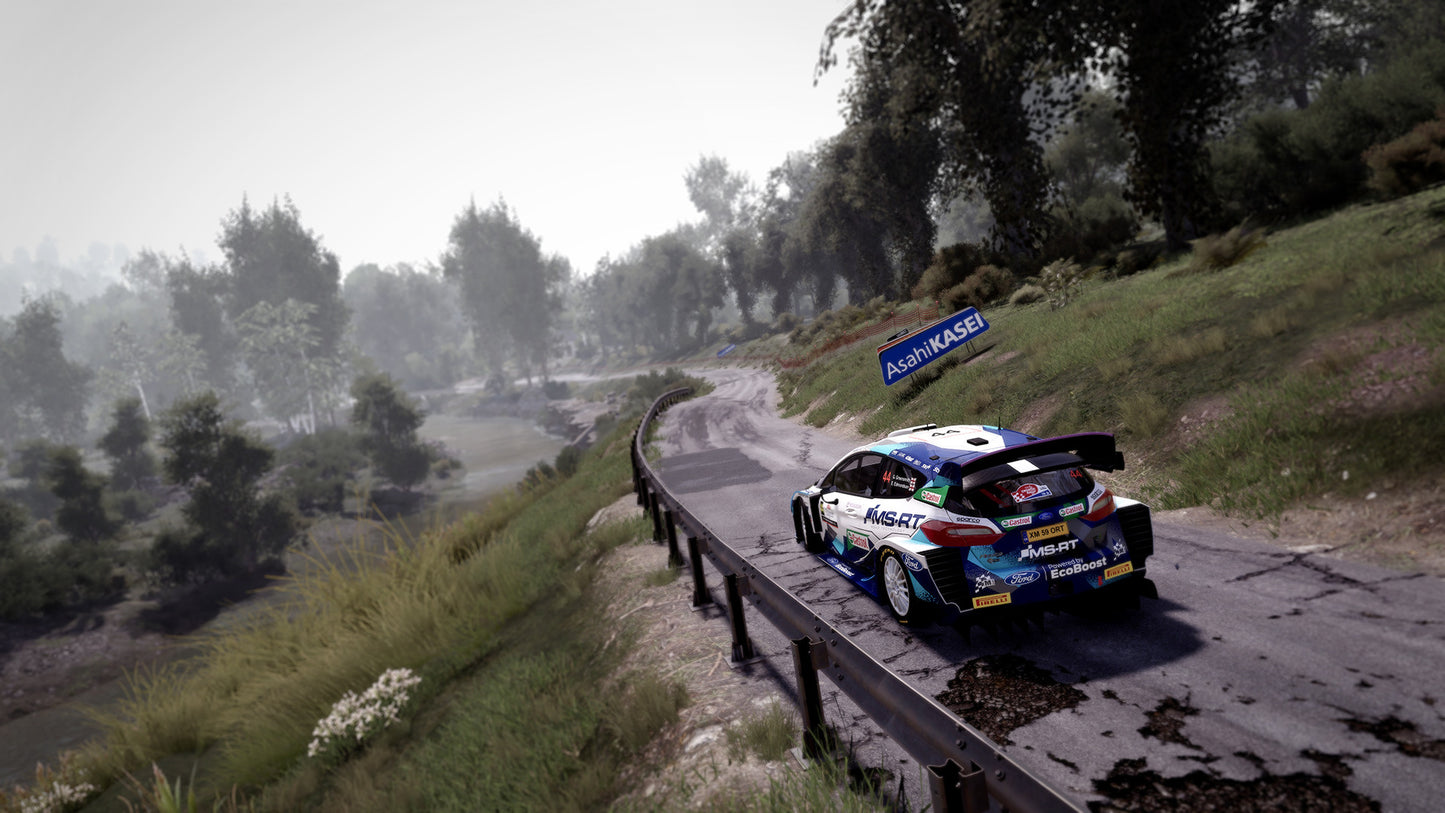 WRC 10 FIA World Rally Championship PS5 Account