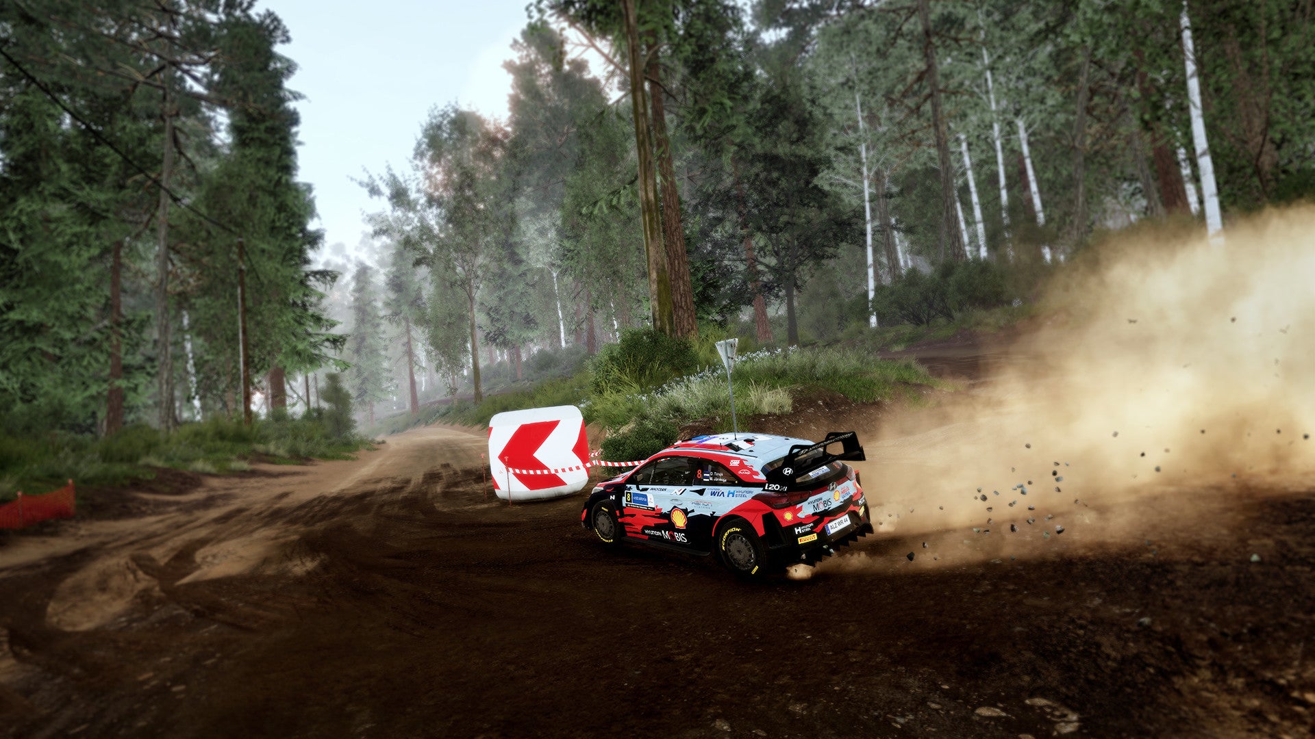 WRC 10 FIA World Rally Championship PS5 Account