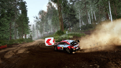 WRC 10 FIA World Rally Championship PS5 Account
