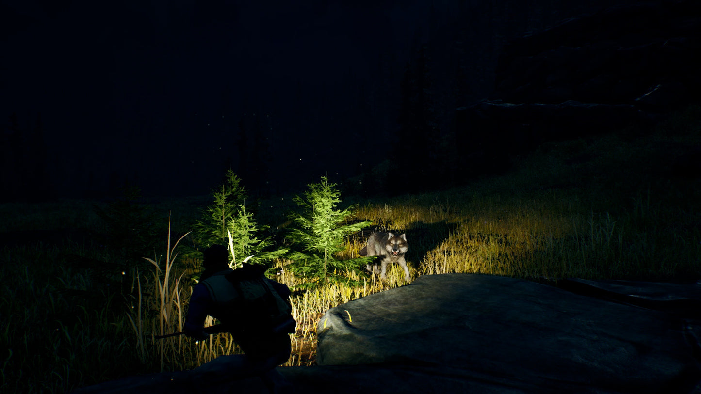 Open Country PS4 Account