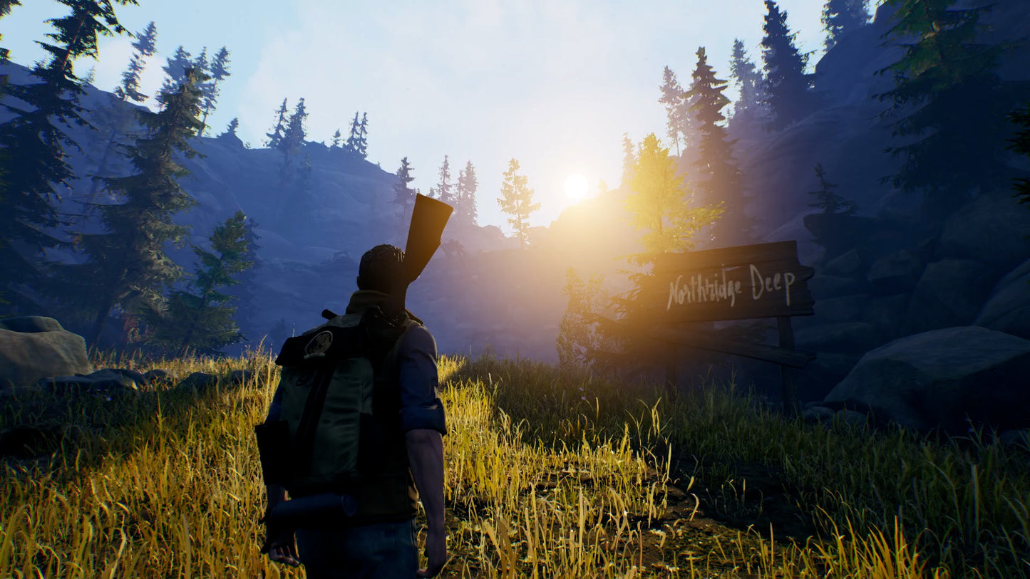 Open Country PS4 Account