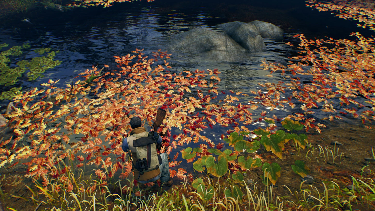 Open Country PS4 Account