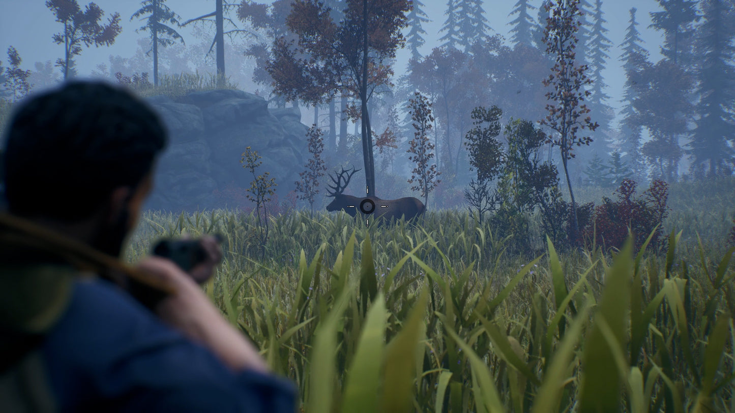 Open Country PS4 Account