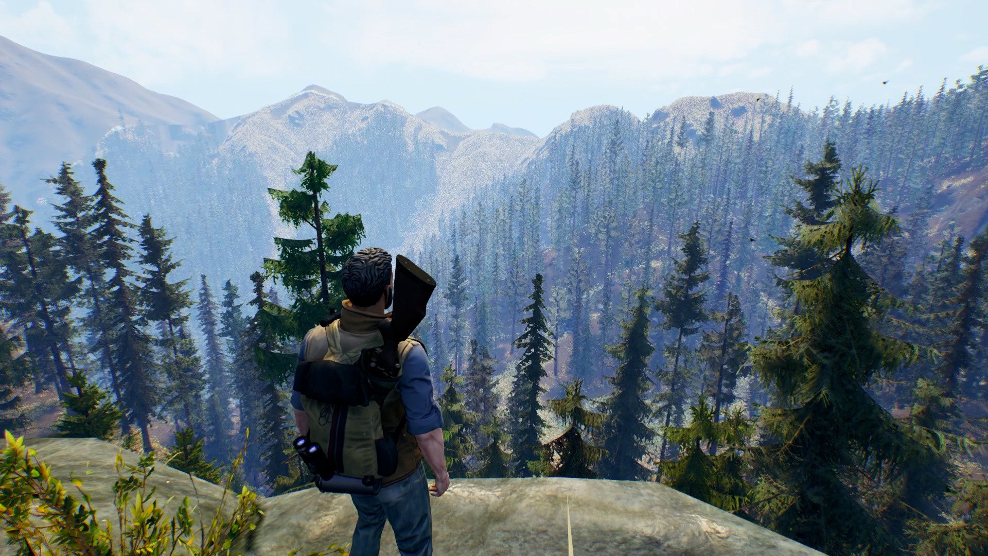 Open Country PS4 Account
