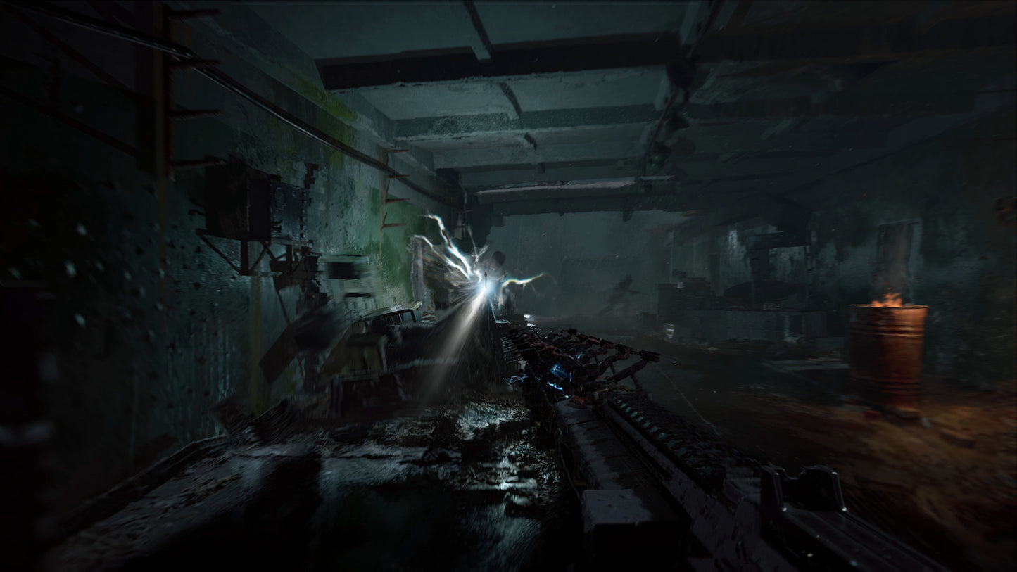 S.T.A.L.K.E.R. 2: Heart of Chornobyl PS5 Account