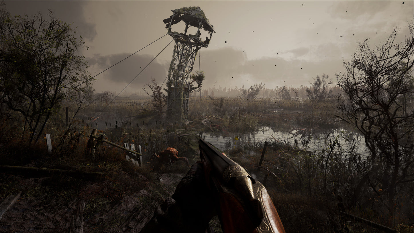 S.T.A.L.K.E.R. 2: Heart of Chornobyl PS5 Account