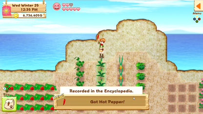 Harvest Moon: Light of Hope SE Complete XBOX One / Xbox Series X|S / PC Account