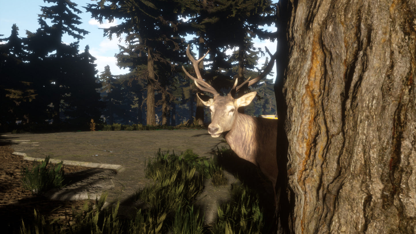 Survival: Lost Way EU PC Steam CD Key