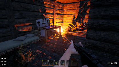 Survival: Lost Way EU PC Steam CD Key