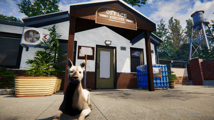 Animal Shelter Simulator EU XBOX One / Xbox Series X|S CD Key