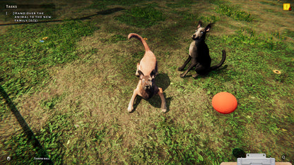 Animal Shelter Simulator EU XBOX One / Xbox Series X|S CD Key