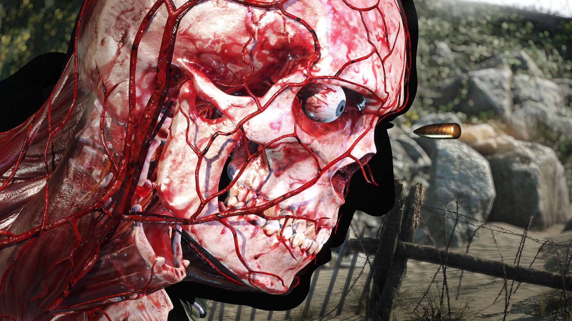 Sniper Elite 5 PC Windows 10/11 Account