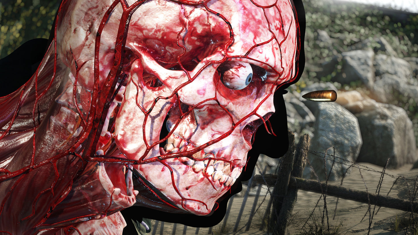 Sniper Elite 5 PS5 Account