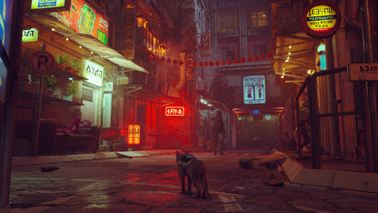 Stray PS4 Account