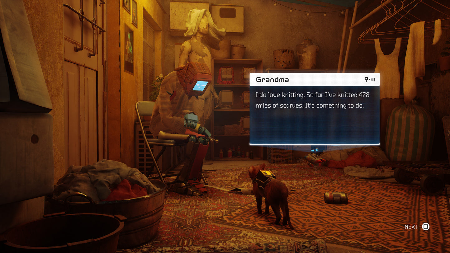 Stray PS5 Account