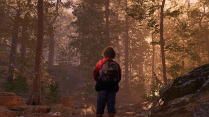 As Dusk Falls PS4 Account