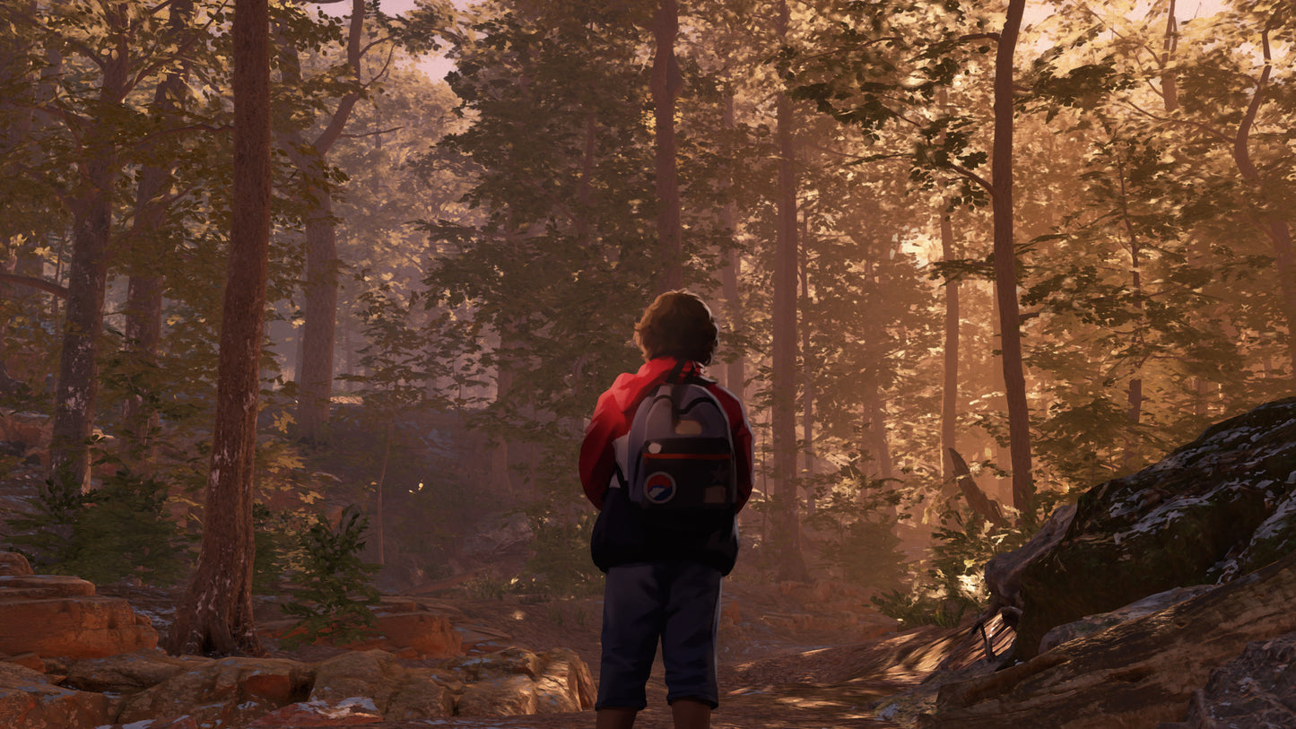 As Dusk Falls PS5 Account