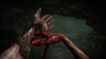 Scorn Xbox Series X|S / PC Account