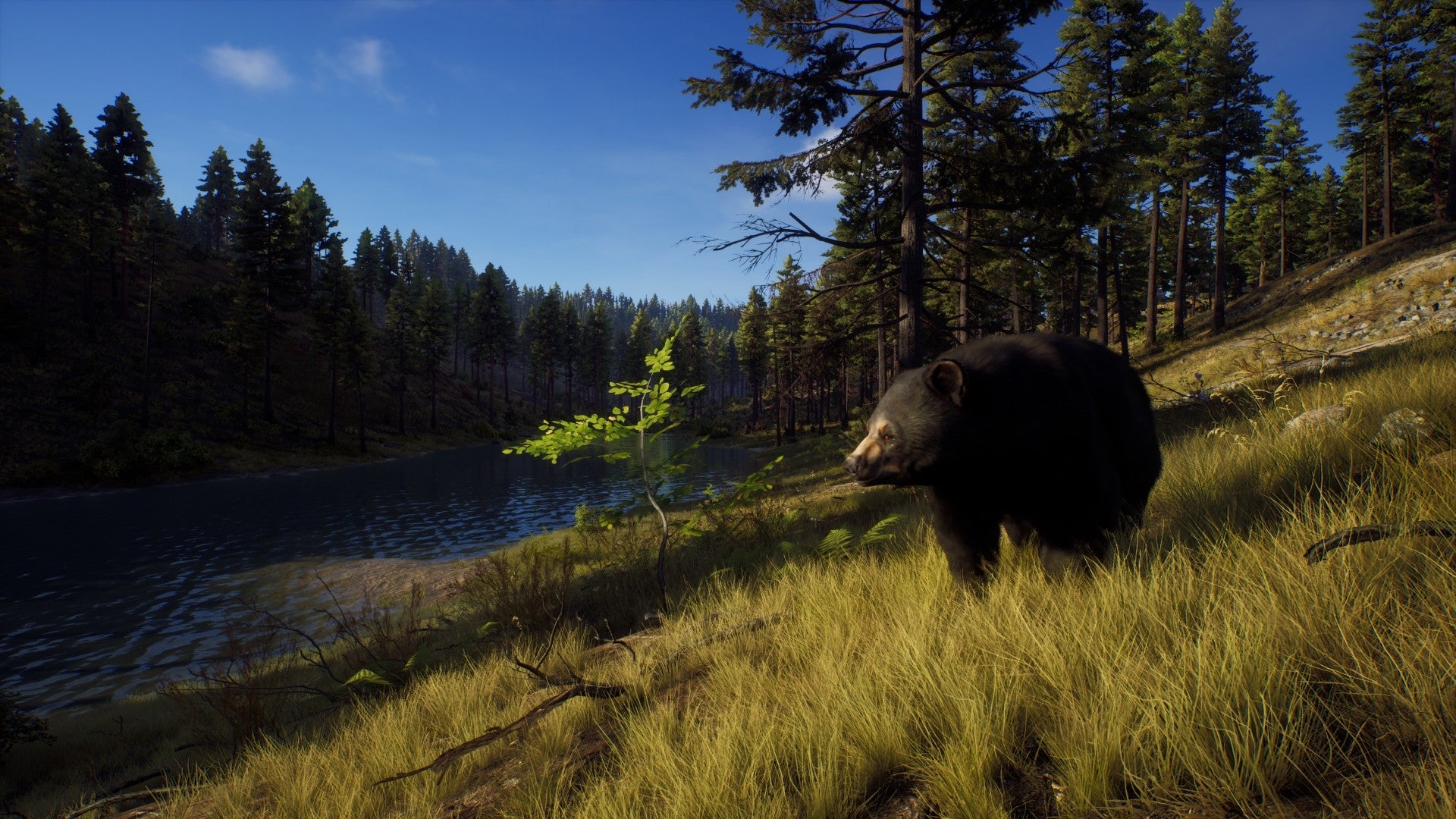 Way of the Hunter Xbox Series X|S Account