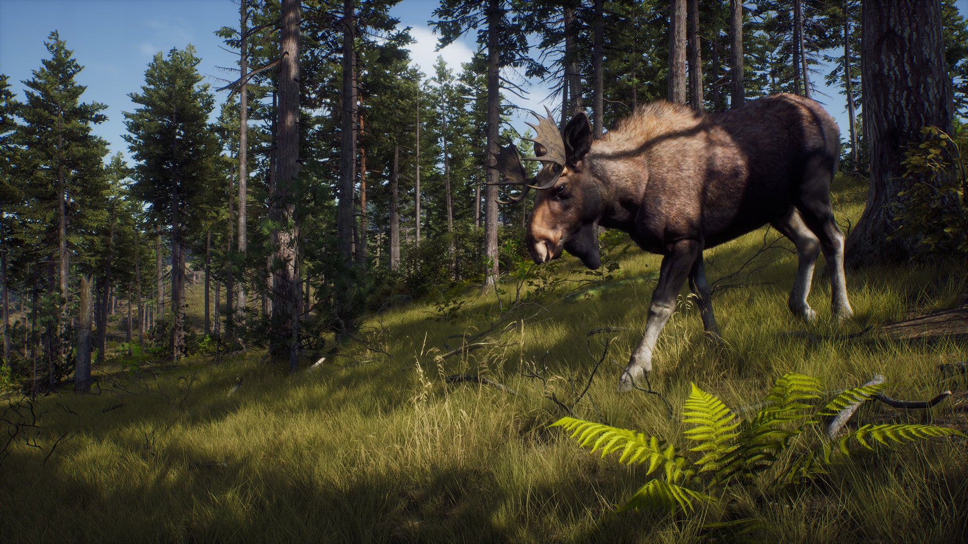 Way of the Hunter Xbox Series X|S Account