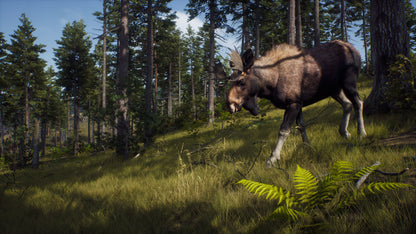 Way of the Hunter Xbox Series X|S Account