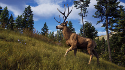 Way of the Hunter Xbox Series X|S Account