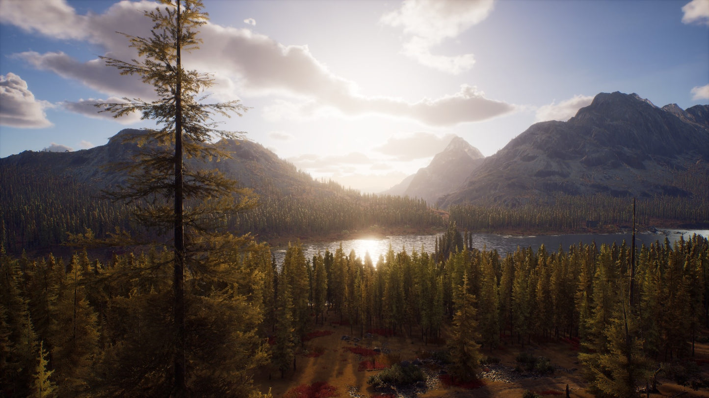 Way of the Hunter Xbox Series X|S Account