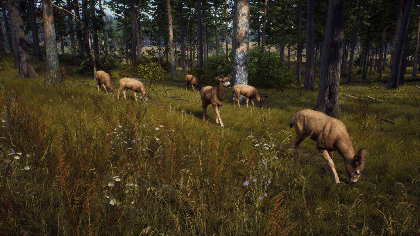 Way of the Hunter EU Xbox Series X|S CD Key