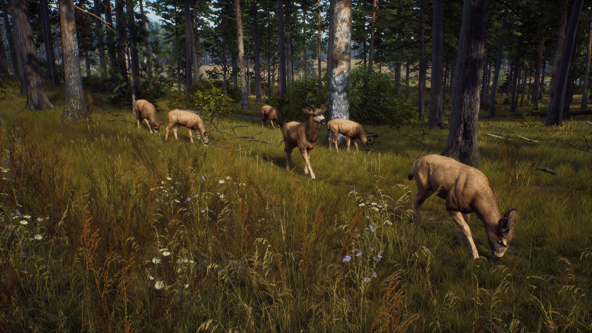 Way of the Hunter EU Xbox Series X|S CD Key