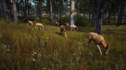 Way of the Hunter EU Xbox Series X|S CD Key