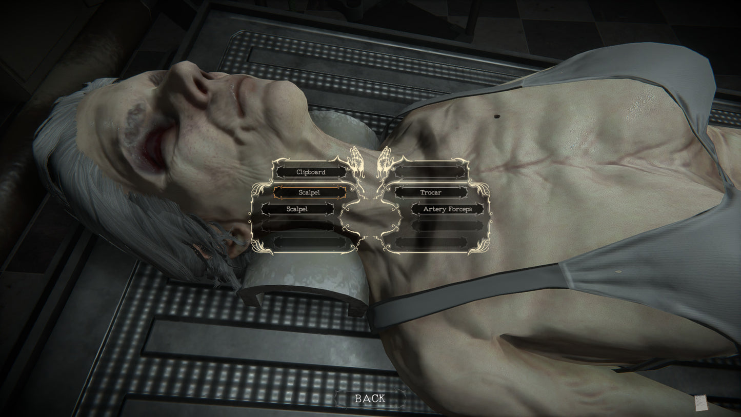 The Mortuary Assistant PS4/PS5 Account