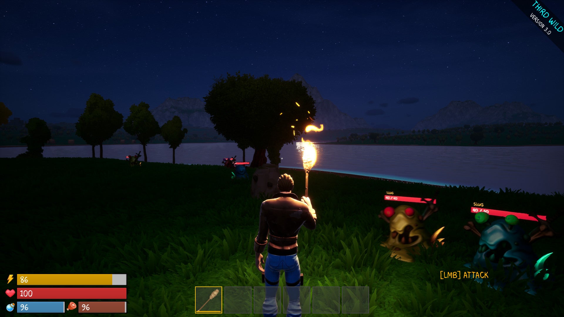 Third Wild Steam CD Key