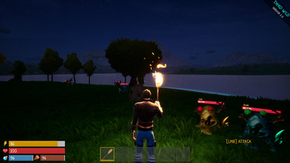 Third Wild Steam CD Key