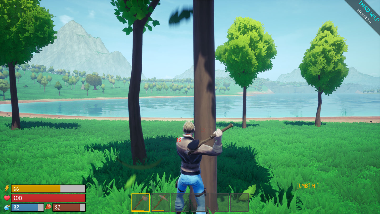 Third Wild Steam CD Key