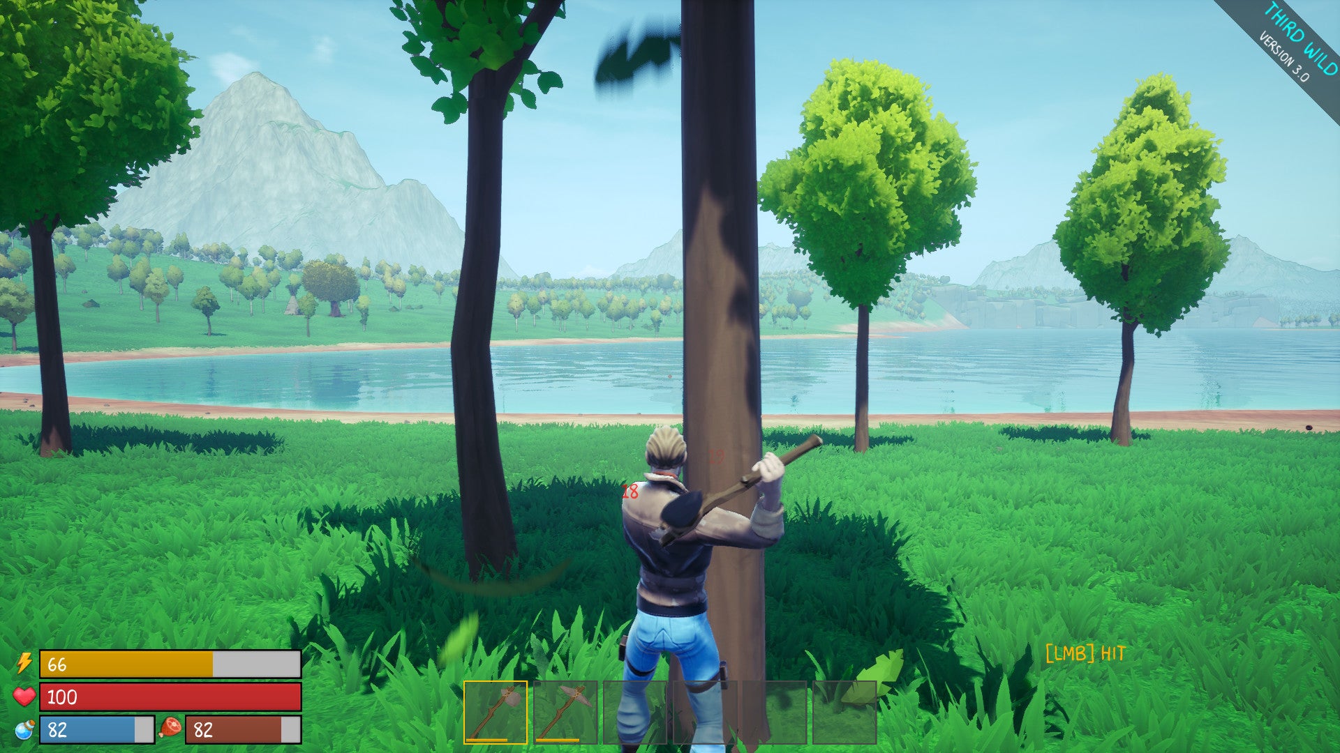 Third Wild Steam CD Key