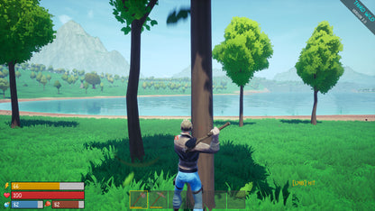 Third Wild Steam CD Key