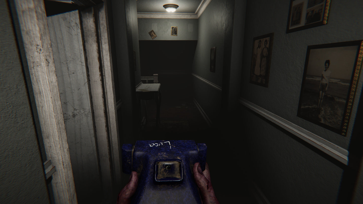 MADiSON - Possessed Camera DLC EU (without DE) PS4 CD Key