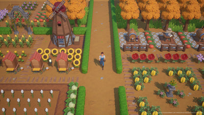 Coral Island PS5 Account