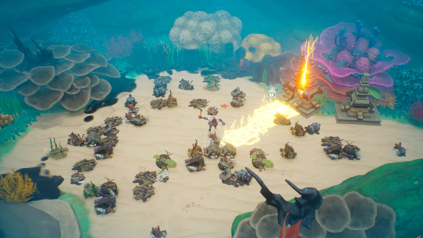 Coral Island PS5 Account
