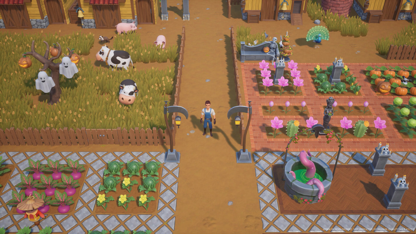 Coral Island PS5 Account